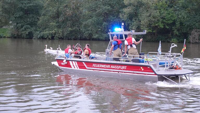 Per Boot rückte die Feuerwehr Haßfurt am Samstagabend zur Rettung eines Schwans auf dem Main bei Obertheres aus.