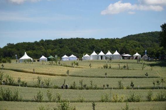 Die Agroforstflächen auf dem Gladbacher Hof.