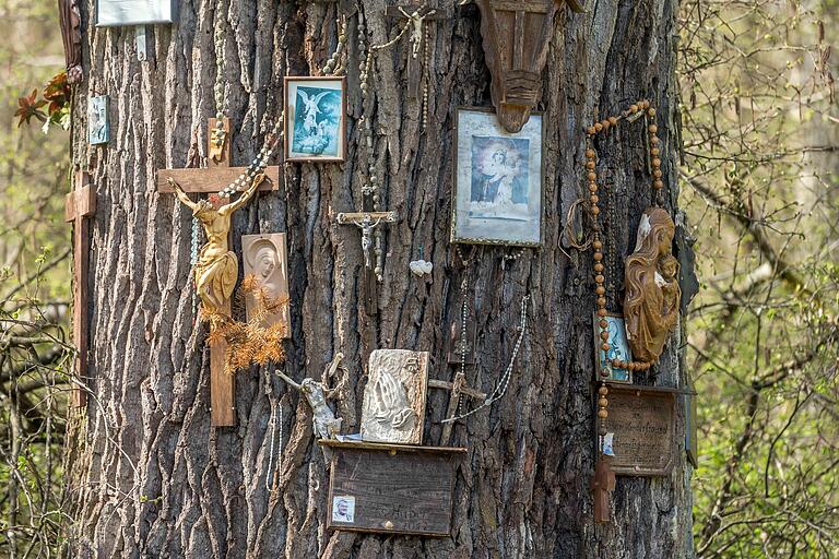 Die über 300 Jahre alte Bildeiche ist mit zahlreichen Kruzifixen, Rosenkränzen und Tafeln zum Gedenken an Verstorbene geschmückt. Der mächtige, inzwischen abgestorbene Baum ist seit 1987 ein Naturdenkmal.