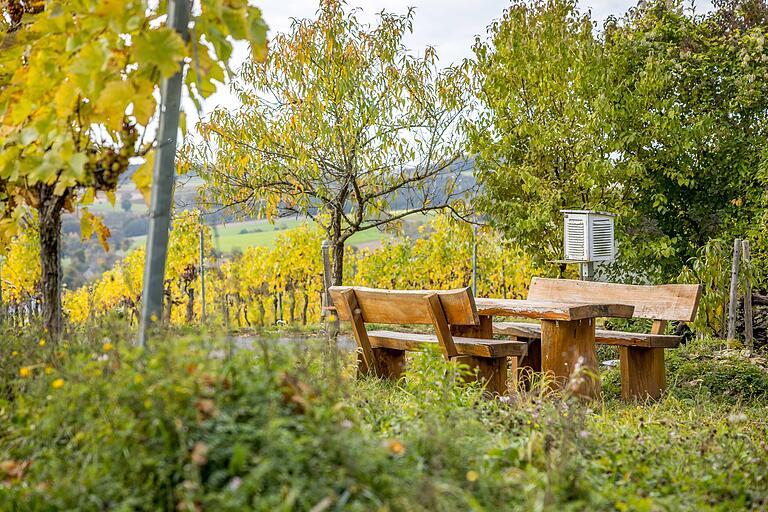 Unterwegs auf dem rund sieben Kilometer langen Wanderweg 'Frühmesserweg Eußenheim' - wer Pause machen will, findet immer wieder ein Plätzchen.&nbsp;
