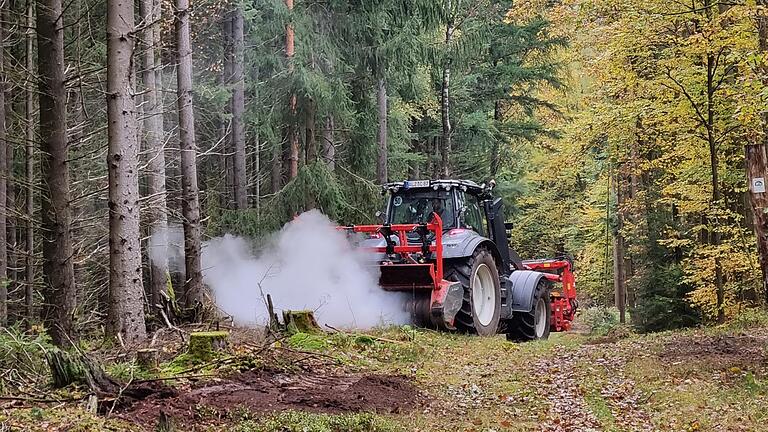 Was ein Biosphärenreservat Spessart für die Holzrechte bedeuten würde, das soll geprüft werden. (Symbolbild) Was ein Biosphärenreservat Spessart für die Holzrechte bedeuten würde, das soll geprüft werden. (Symbolbild)