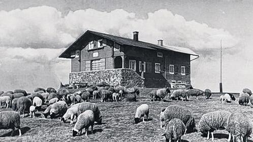 Idyll mit Rhönschafen: Dieses malerische Bild wurde um das Jahr 1950 herum aufgenommen. Idyll mit Rhönschafen: Dieses malerische Bild wurde um das Jahr 1950 herum aufgenommen.