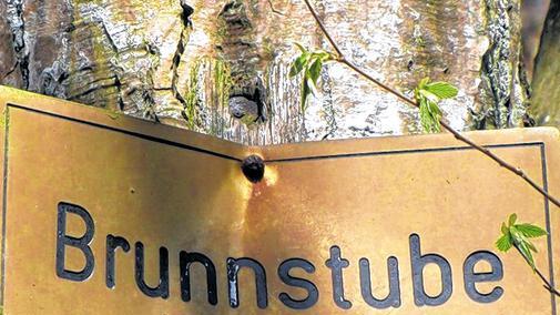 Die Holzindustrie ist gegen einen Nationalpark Steigerwald.