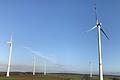 Gegen den Bau von fünf Windkraftanlagen auf der 'Hohen Heide' bei Dertingen, einem Ortsteil von Wertheim, nahe der Landesgrenze zu den bayerischen Orten Homburg und Wüstenzell hat sich eine Bürgerinitiative gegründet.