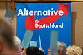 Plakat der AfD.jpeg       -  Bei den kommenden Landtagswahlen in Sachsen, Thüringen und Brandenburg droht die AfD stärkste Partei zu werden