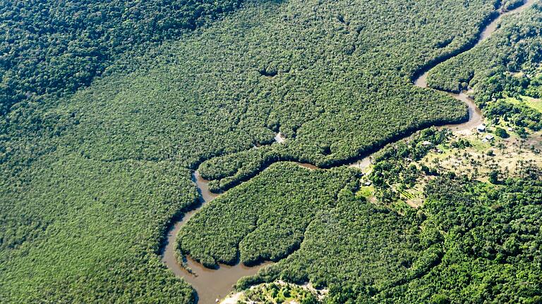 Rodung im brasilianischen Amazonasgebiet       -  Der Amazonas-Regenwald wird als &bdquo;grüne Lunge der Erde&rdquo; bezeichnet, weil er große Mengen Kohlendioxid absorbiert und Sauerstoff produziert. (Archivbild)