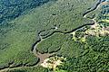 Rodung im brasilianischen Amazonasgebiet       -  Der Amazonas-Regenwald wird als &bdquo;grüne Lunge der Erde&rdquo; bezeichnet, weil er große Mengen Kohlendioxid absorbiert und Sauerstoff produziert. (Archivbild)