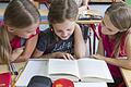Drei Umweltschulen im Landkreis ausgezeichnet