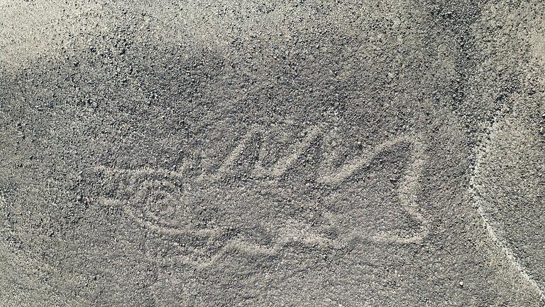 Neue Nazca Bilder in Peru entdeckt       -  Eine 22 Meter lange reliefartige Geoglyphe, die nach Forscherangaben einen Wal darstellt, wurde im Süden Perus entdeckt.