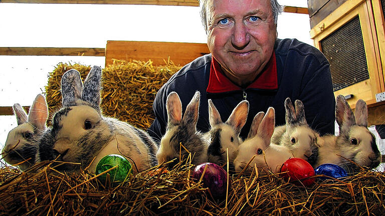Gruppenbild mit Hasenvater: Seit fünf Jahren züchtet Peter Seuberling aus Hausen Rhönkaninchen. Dass sie auch Ostereier legen, glaubt er trotz hart gekochter Tatsachen nicht mehr. Gruppenbild mit Hasenvater: Seit fünf Jahren züchtet Peter Seuberling aus Hausen Rhönkaninchen. Dass sie auch Ostereier legen, glaubt er trotz hart gekochter Tatsachen nicht mehr.