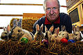 Gruppenbild mit Hasenvater: Seit fünf Jahren züchtet Peter Seuberling aus Hausen Rhönkaninchen. Dass sie auch Ostereier legen, glaubt er trotz hart gekochter Tatsachen nicht mehr.