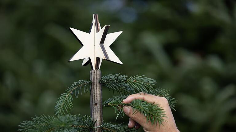 Weihnachtsbaum - Es muss nicht immer die Tanne sein: Viele greifen mittlerweile beim Weihnachtsbaum zu Alternativen. Weihnachtsbaum - Es muss nicht immer die Tanne sein: Viele greifen mittlerweile beim Weihnachtsbaum zu Alternativen.