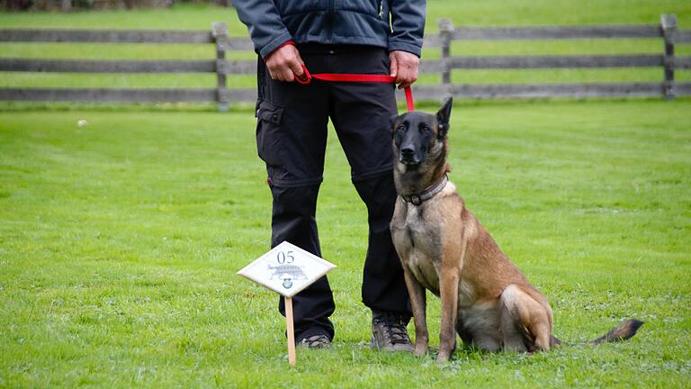 Bayerische Meisterschaft der Fährtenhunde in Bad Kissingen - Bayerische Meisterschaft der Fährtenhunde in Bad Kissingen. Bayerische Meisterschaft der Fährtenhunde in Bad Kissingen - Bayerische Meisterschaft der Fährtenhunde in Bad Kissingen.