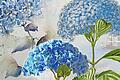 Die Blaue Hortensie