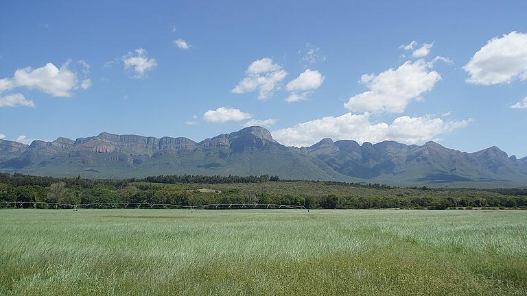 Ein soziales Jahr in beeindruckender Landschaft: Blick auf die Drakensberge vom Kräutergarten aus.