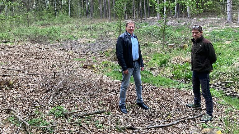 Wülfershausens Bürgermeister Wolfgang Seifert (links) und Forstbetriebsleiter Rupert Wolf stehen am Kehlgraben im Waldgebiet Hohe Hütte. Hier soll demnächst ein Naturteich entstehen.