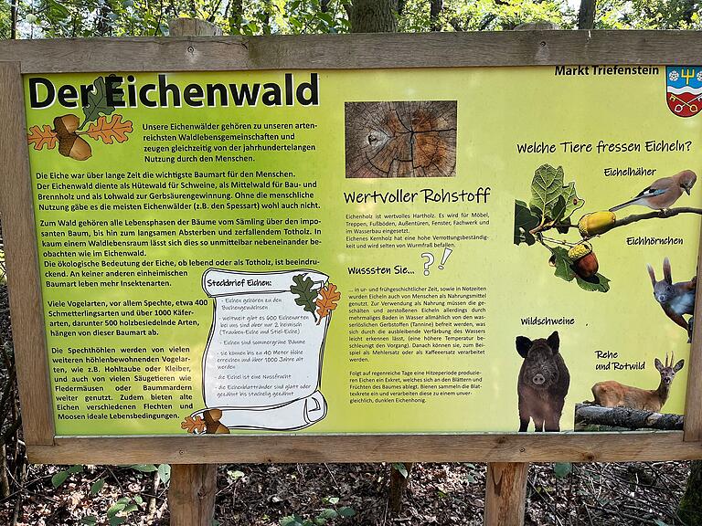 Der schöne Naturlehrpfad in Lengfurt ist nicht nur für einen entspannenden Spaziergang ideal, denn er  informiert auch über die Besonderheiten der Natur des Eichenwaldes.
