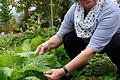 Marianne Scheu-Helgert mit Chinakohl, der einer Schnecke schmeckte. Deshalb gilt: Am frühen Abend raus in den Garten und die Tiere absammeln. Gerade im Herbst &ndash; denn jetzt ist Paarungszeit.