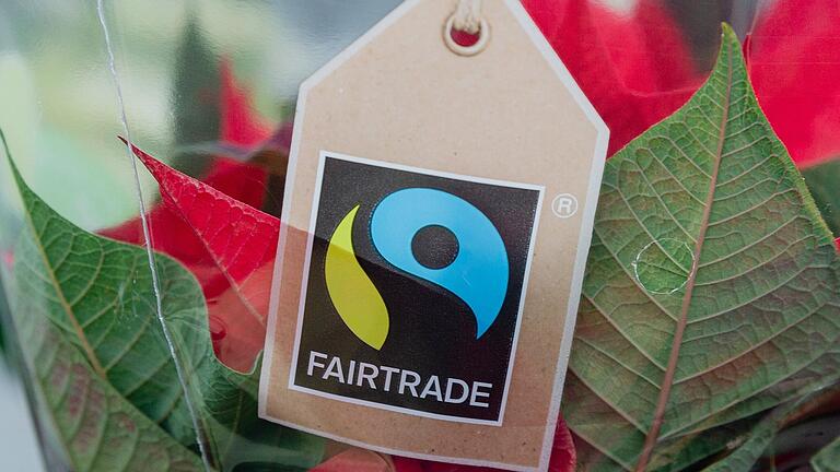 Das Fairtrade-Zeichen ist auf diesem Symbolbild an der Verpackung einer Topfblume zu sehen. In Schweinfurt gibt es derzeit 37 Partner von Lebensmittlern bis Schulen.