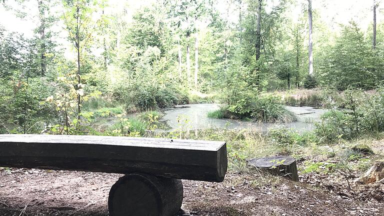 Waldsee oberhalb von Gemünden im Wald. Waldsee oberhalb von Gemünden im Wald.