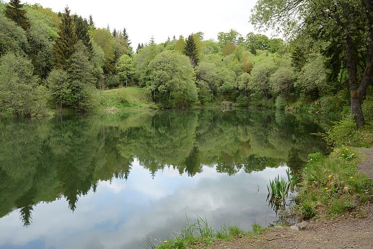 Stille Idylle mitten im Wald. Der Basaltsee ist eines der Ziele auf der "Hochrhöntour". Stille Idylle mitten im Wald. Der Basaltsee ist eines der Ziele auf der "Hochrhöntour".