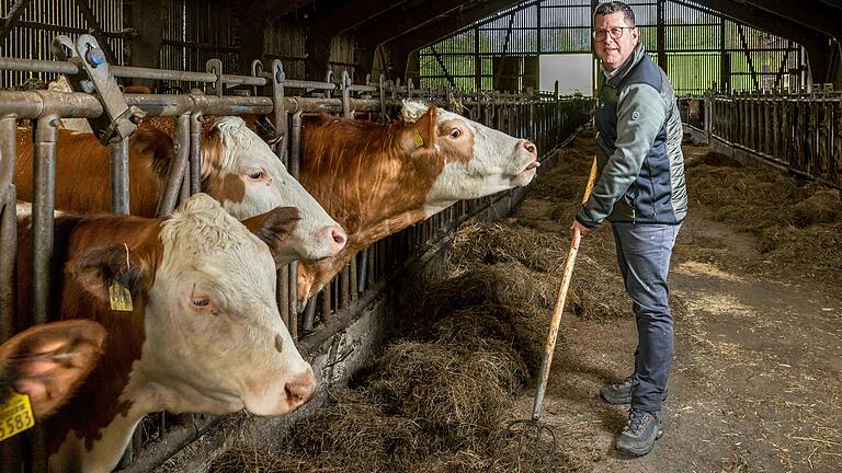 Auch als Europaabgeordneter will Stefan Köhler weiter auf seinem Bauernhof in Wiesen mitanpacken. Das Foto entstand bei einem Besuch im April.