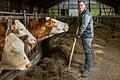 Auch als Europaabgeordneter will Stefan Köhler weiter auf seinem Bauernhof in Wiesen mitanpacken. Das Foto entstand bei einem Besuch im April.