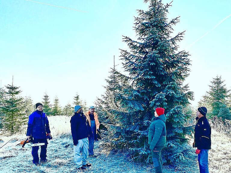 Pater Joe suchte im „Christbaumland Eschenbach in Zimmerau“ gemeinsam mit Küster Michael Löhr sowie Heinrich Weber von der Kirchenverwaltung den großen Baum für die Stadtpfarrkirche aus.&nbsp;