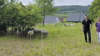 Biotoppflege in Erlenbach: Durch Beweidung, hier sind es die Schafe von Marina Schewe und ihrem Sohn aus Remlingen, wird das Überwuchern durch Gras in den Biotopen vermindert. Bürgermeister Georg Neubauer  begutachtet die Arbeit der Tiere und ihrer Schäfer am Hermannsberg.