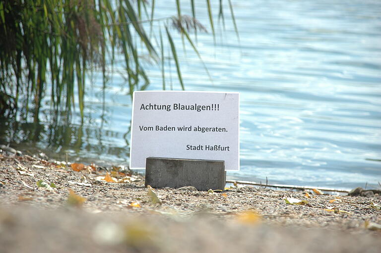 Die Stadt Haßfurt weist mit Warnschildern auf die gesundheitsschädlichen Blaualgen hin.