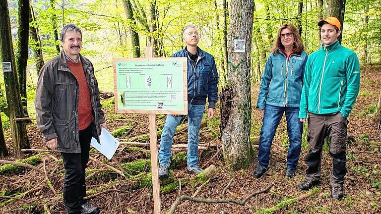 Hunderte von wichtigen Biotopbäume an Wegen im Forstbetrieb Ebrach kennzeichnen Freiwillige des Vereins „Artenschutz in Franken“, der im Forstbetrieb Ebrach einen Kooperationspartner für seine Ziele gefunden hat. Im Bild von links Ulrich Mergner, Leiter des Forstbetriebs Ebrach, Thomas Köhler, Vorsitzender des Vereins „Artenschutz in Franken“, Revierleiterin Regina Bertram und FÖJ'ler Marian Erhard. Hunderte von wichtigen Biotopbäume an Wegen im Forstbetrieb Ebrach kennzeichnen Freiwillige des Vereins „Artenschutz in Franken“, der im Forstbetrieb Ebrach einen Kooperationspartner für seine Ziele gefunden hat. Im Bild von links Ulrich Mergner, Leiter des Forstbetriebs Ebrach, Thomas Köhler, Vorsitzender des Vereins „Artenschutz in Franken“, Revierleiterin Regina Bertram und FÖJ'ler Marian Erhard.