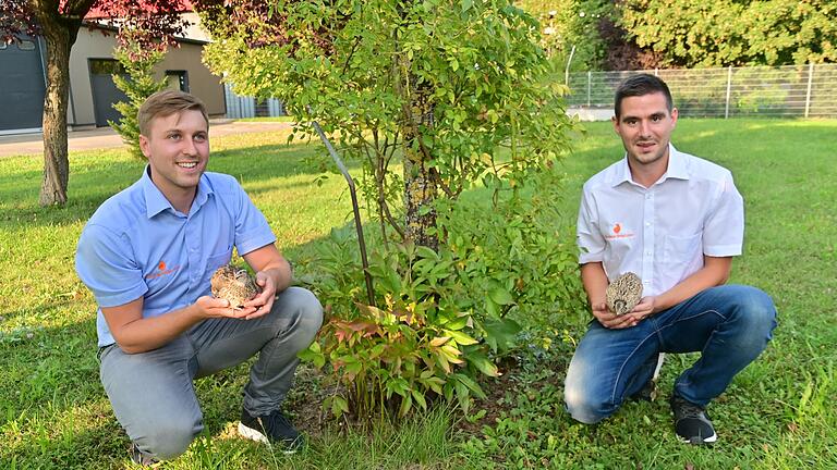Michael Volk und Nico da Silva Teixiera (von links) wollen in Wittighausen kräftig in ein Wachtelland investieren. Michael Volk und Nico da Silva Teixiera (von links) wollen in Wittighausen kräftig in ein Wachtelland investieren.