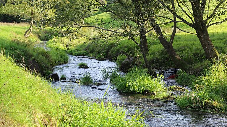 Der Aubach bei Frammersbach-Habichstal in der Nähe der Dorfmühle. Hier mündet der Birklerbach in den Aubach.