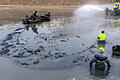 Der letzte Kraftakt: Bevor das Wasser aus dem Ellertshäuser See komplett abgelaufen ist, werden noch die restlichen Fische herausgeholt. Hier sind 30 Karpfen im Netz, die sich im Schlamm eingewühlt hatten.