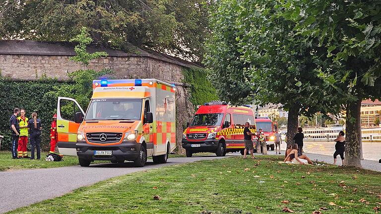 Feuerwehreinsatz an der Leonhard-Frank-Promenade: Eine Person konnte aus dem Wasser gerettet werden.