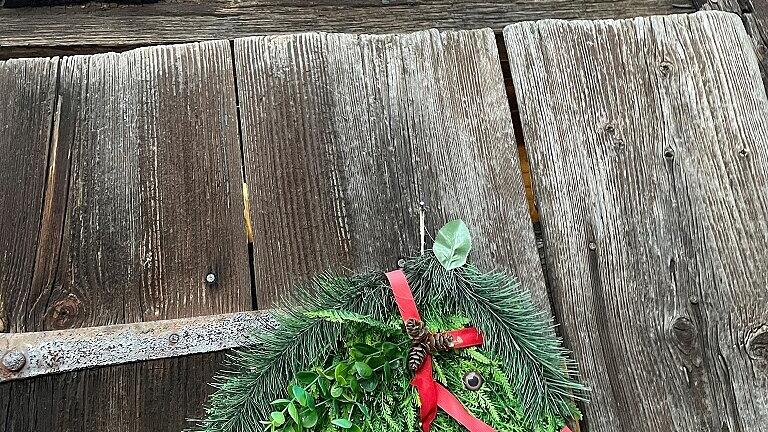 Tierliebe bis ins Detail... Tierliebe bis ins Detail...