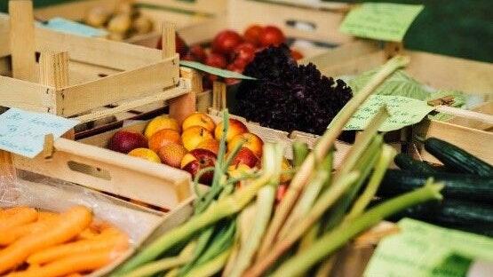 Beim Regionalen Bauernmarkt stellen vorwiegend Anbieter aus dem Main-Tauber- Kreis, dem Hohenlohe-Kreis und dem Landkreis Schwäbisch Hall ihre Produkte vor. Beim Regionalen Bauernmarkt stellen vorwiegend Anbieter aus dem Main-Tauber- Kreis, dem Hohenlohe-Kreis und dem Landkreis Schwäbisch Hall ihre Produkte vor.