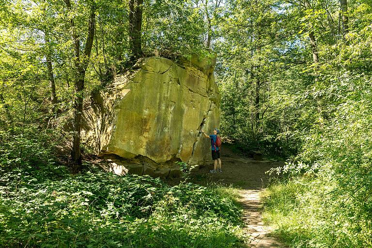 Unterwegs auf dem Rundweg in Seinsheim lohnt sich ein schattiger Abstecher zum Steinbruch. Unterwegs auf dem Rundweg in Seinsheim lohnt sich ein schattiger Abstecher zum Steinbruch.