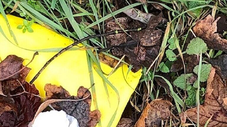 Und Fäkalien. Wer am Steigweg unterwegs ist, hat keine schönen Aussichten. Fotos: Seitz