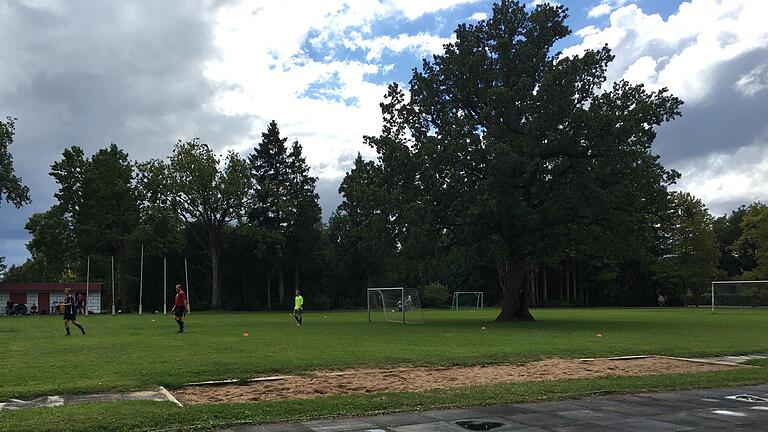 Eine Eiche als 23. Spieler auf dem Platz: Der unter Naturschutz stehende Baum ist die Attraktion dieses Fußballplatzes auf der Estländischen Insel Saareema.