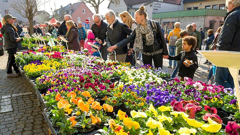 Neben bunten Blumen wird es auch ein Kinderprogramm und Vorträge geben. (Symbolbild)