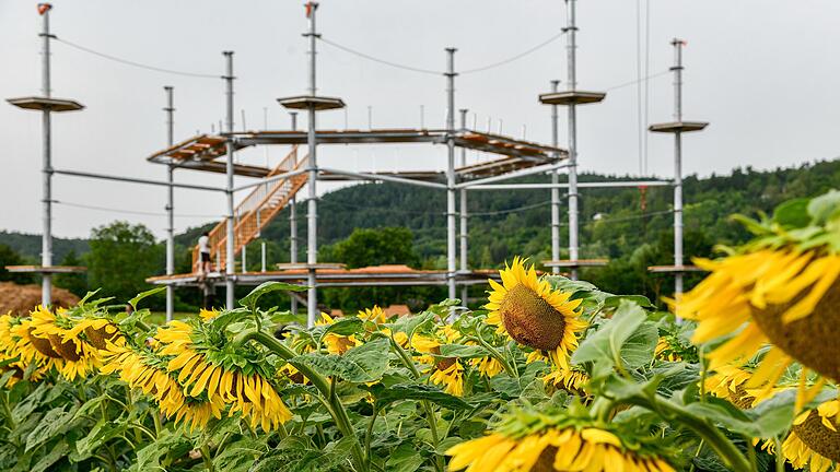 Der Hochseilgarten in Eibelstadt soll am 4. August eröffnet werden. Der Hochseilgarten in Eibelstadt soll am 4. August eröffnet werden.