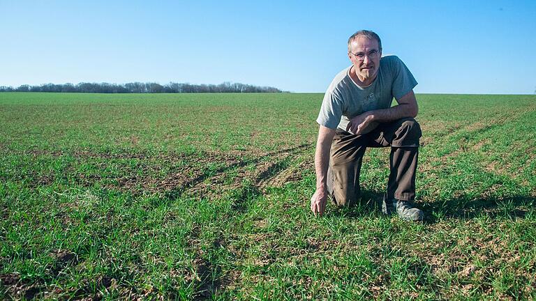 Weizenbauer Andreas Römert hat den Weizen auf seinem Feld bei&nbsp;Egenhausen bereits im Herbst letzten Jahres ausgesät.