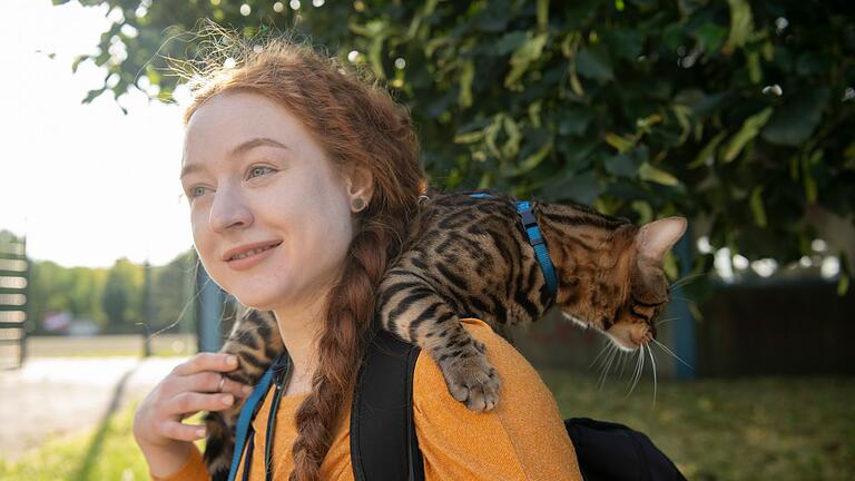 Bengalkatze Baios draußen an der Leine       -  Aktuell werden immer mehr Katzen an der Leine durch Großstadtstraßen geführt. (Archivbild)