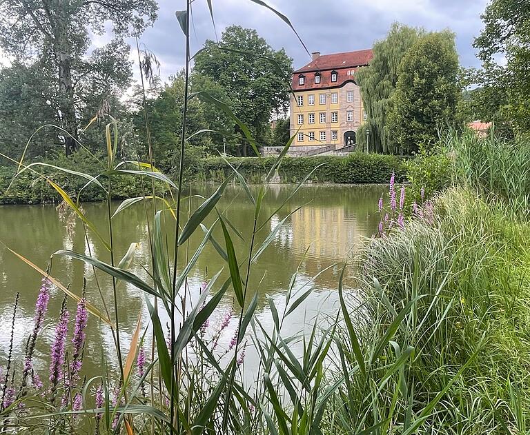 Auch über eine sinnvollere Nutzung des Schlosses Gleisenau gibt es im Konzept mögliche Vorschläge, ebenso für den See und den Schlosspark.