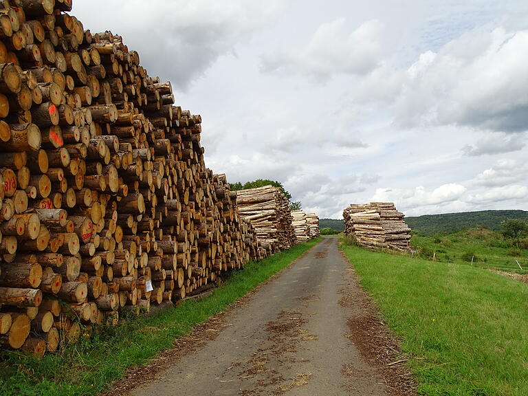 Fernab von gefährdeten Fichtenbeständen lagert das Käferholz aus dem Oberelsbacher Wald am Zick-Zack-Küppel und wartet darauf, während der momentan angespannten Holzmarktlage verkauft zu werden.