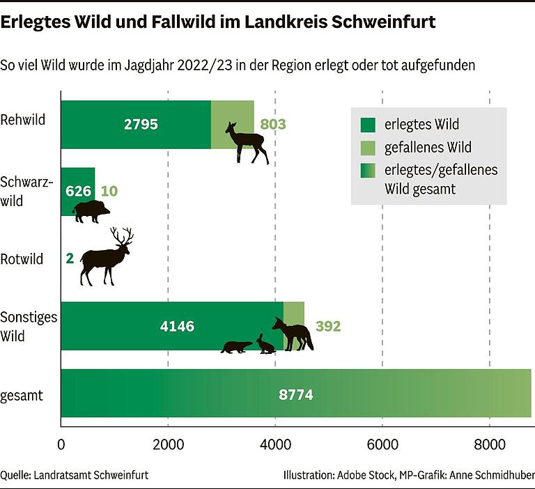 Jagd im Kreis Schweinfurt in Zahlen: Wie viele Waffen, Jäger, Reviere gibt es in der Region?