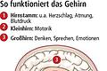 Wie ein Schädel-Hirn-Trauma behandelt werden kann