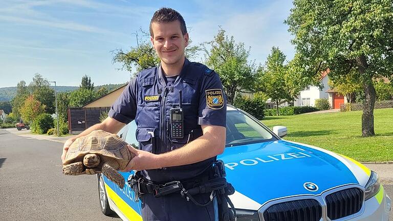 Der Bad Neustädter Polizist Moritz Fleckenstein mit Schildkröte Susi. Das ausgebüxte Tier rief die Polizei in Reyersbach auf den Plan.&nbsp;