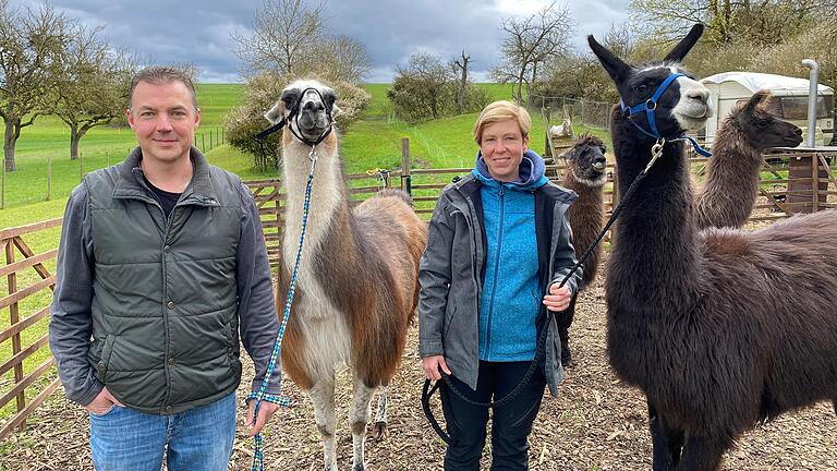 Verena und Christian Stürmer halten bei Steinfeld fünf Lamas, mit denen sie auch Wanderungen anbieten. Auf dem Bild sind Herdenchef Manitu (links) und Strolch zu sehen, im Hintergrund Flo und Kono. Verena und Christian Stürmer halten bei Steinfeld fünf Lamas, mit denen sie auch Wanderungen anbieten. Auf dem Bild sind Herdenchef Manitu (links) und Strolch zu sehen, im Hintergrund Flo und Kono.